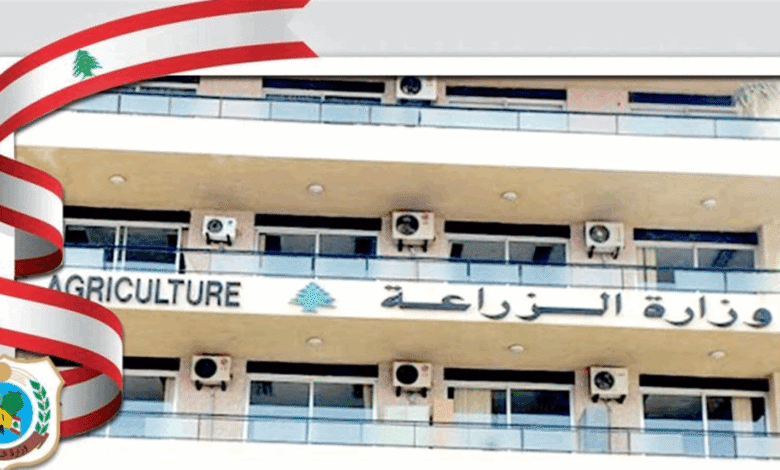 بمبادرة من وزارة الزراعة... مجلس الوزراء يقرّ إعفاء بذور الخضر من الرسوم الجمركية