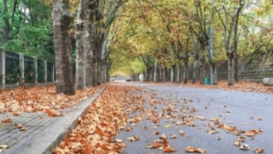 الطقس الخريفي مستمر.. متى تنحسر الامطار؟
