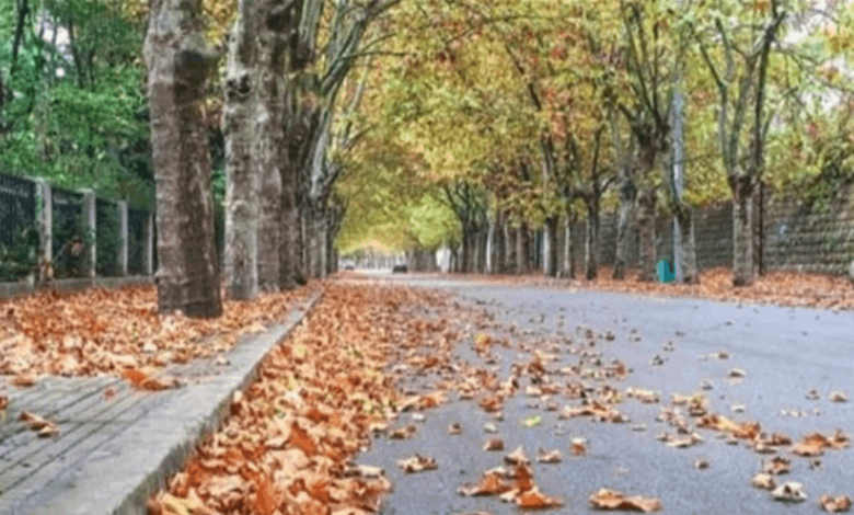 الطقس الخريفي مستمر.. متى تنحسر الامطار؟