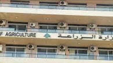 وزارة الزراعة تواصل تنفيذ خارطة طريق موسم 2026