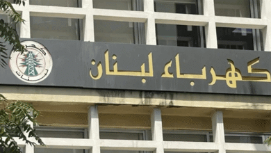 الـ BOT على طاولة البحث...هل حان وقت الشراكة في قطاع الكهرباء؟