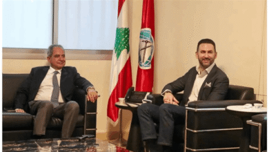أزمة الكهرباء تجمع جنبلاط والصدي.. ماذا تقرر؟