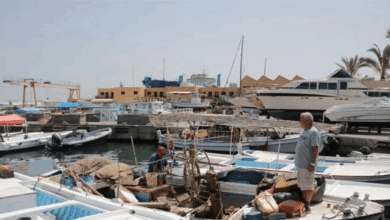 صيادو لبنان أمام أزمة مزدوجة.. ماذا حلّ بهم؟
