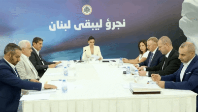 النائبة جعجع: إعلان الصدي اعتكافه جرس إنذار جدي للحكومة