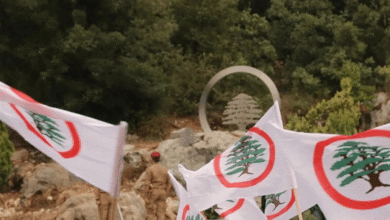 حلفاء "القوات" منزعجون