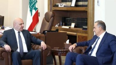 الرئيس عون اطّلع من كمال حايك على أوضاع مؤسسة كهرباء لبنان