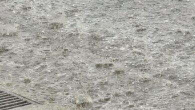 فيديو من البقاع... الأمطار غزيرة!