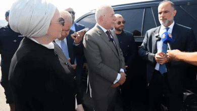 المدخل الجنوبي لطرابلس بحلّة جديدة.. ورسالة من رسامني