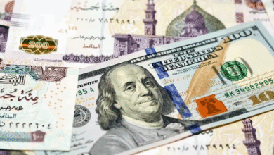 لتعزيز السيولة الأجنبية.. بنوك مصرية ترفع عوائد حسابات التوفير الدولارية