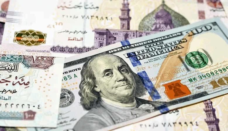 لتعزيز السيولة الأجنبية.. بنوك مصرية ترفع عوائد حسابات التوفير الدولارية