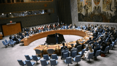 مصر لمجلس الأمن: دولة جارة للسودان متورطة في الحرب