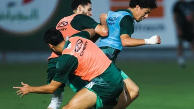 موعد المباراة الودية بين الجزائر والنيجر والقنوات الناقلة