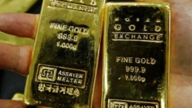 استثمارات 300 مليون دولار لرفع إنتاج منجم مصري إلى 150 ألف أونصة ذهب