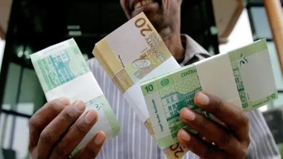 الجنيه السوداني يهوي إلى قاع جديد مع تفاقم الأزمة الاقتصادية