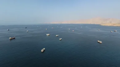إيران مباشر.. طهران تتمسك بالتفاوض وترمب يستبعد استئناف العمليات العسكرية قبل الانتخابات