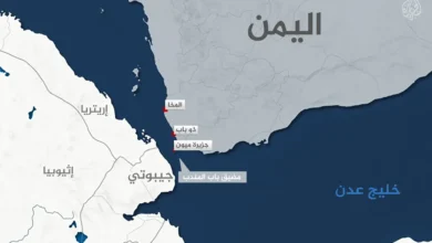 ذوباب وباب المندب.. ماذا يعني التقدم العسكري للقوات الحكومية اليمنية؟