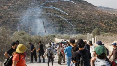 الاحتلال يعتقل أسرى محررين بالضفة والمستوطنون يسرقون ثمار الزيتون